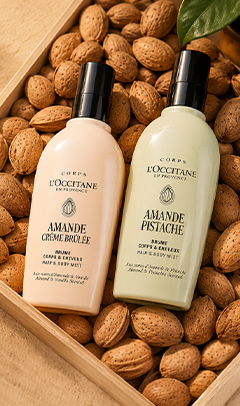 Osmanthus Collection | L'Occitane | L'Occitane en Provence